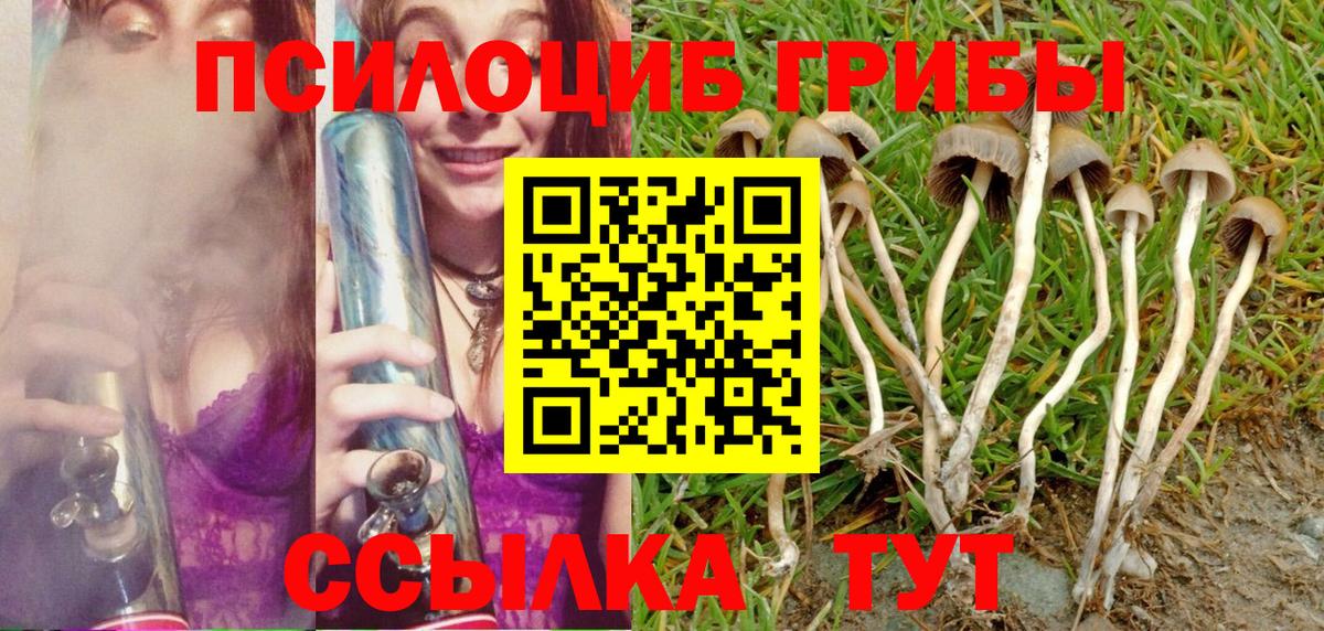 Псилоцибиновые грибы Cubensis Курган